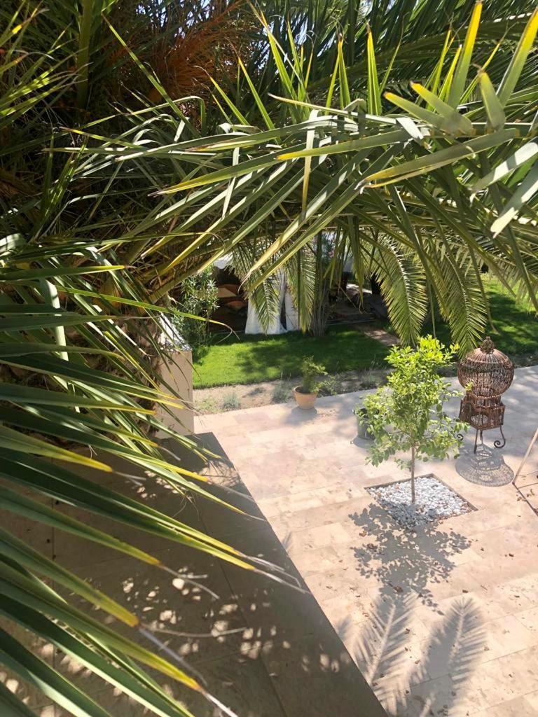 Villa Pauline Avignon Extérieur photo